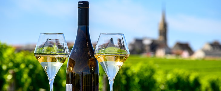 Discover the Best Wineries Near San Diego by Charter Bus