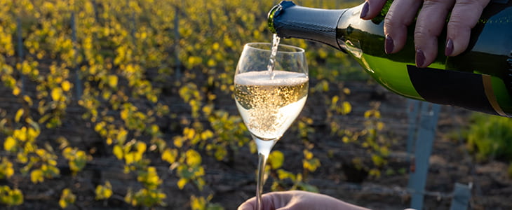 a glass of wine with vineyards in the background 